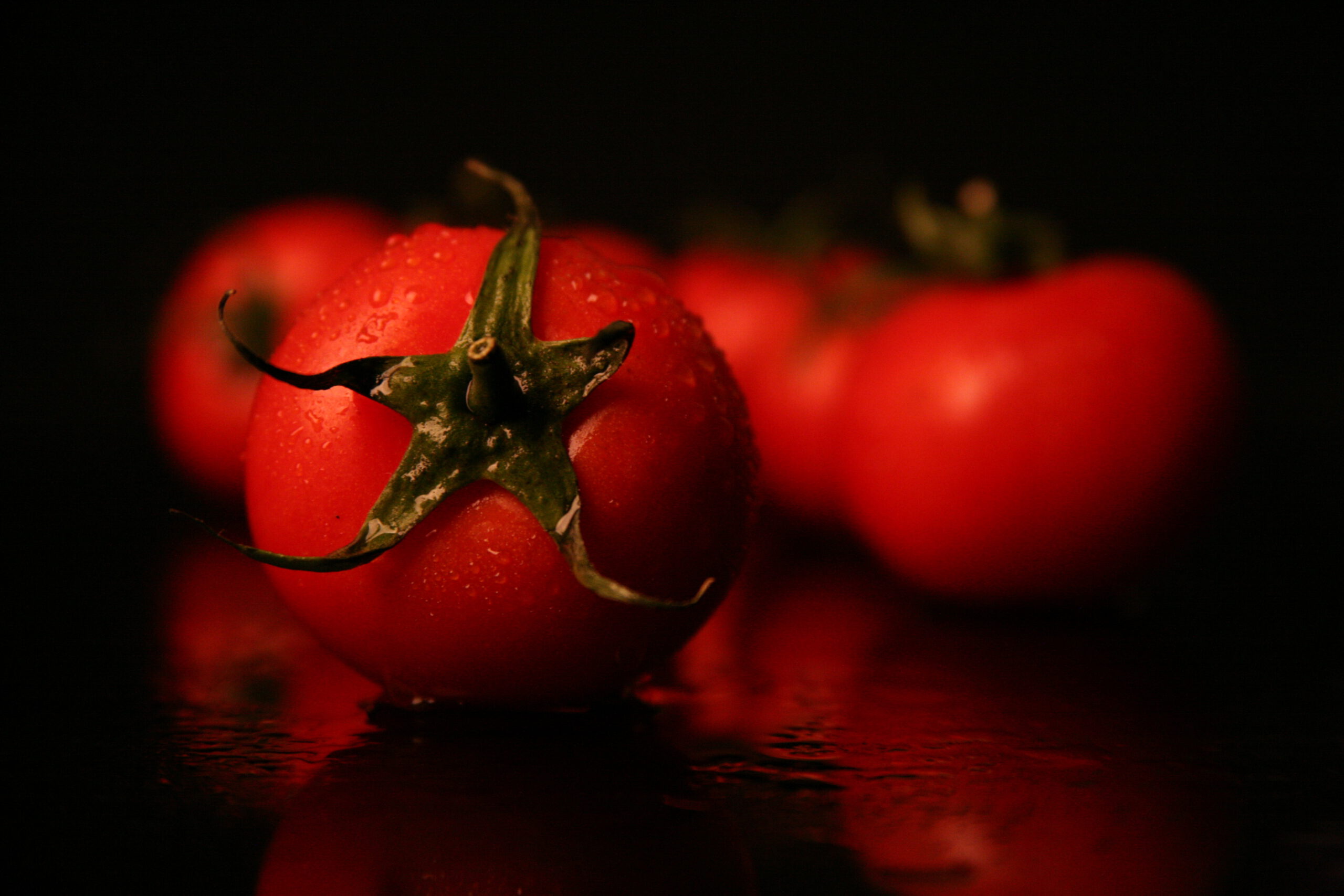 Photography by Hami