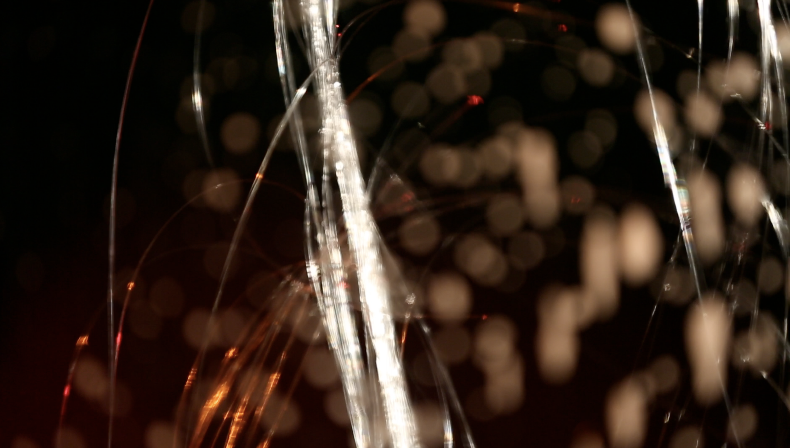 Photography by Hami